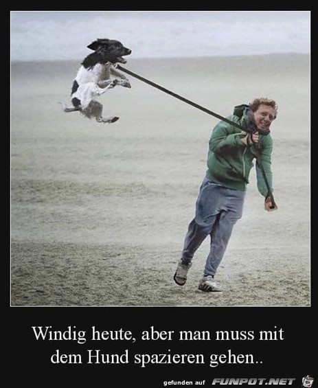 Ziemlich windig Ziemlich windig