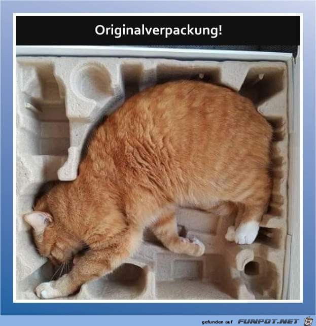 Originalverpackung Originalverpackung