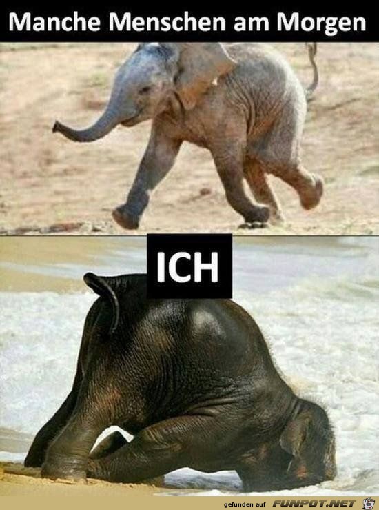 am morgen am morgen