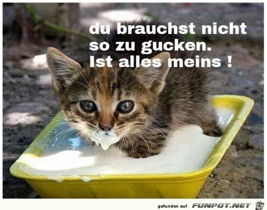 du brauchst nicht du brauchst nicht