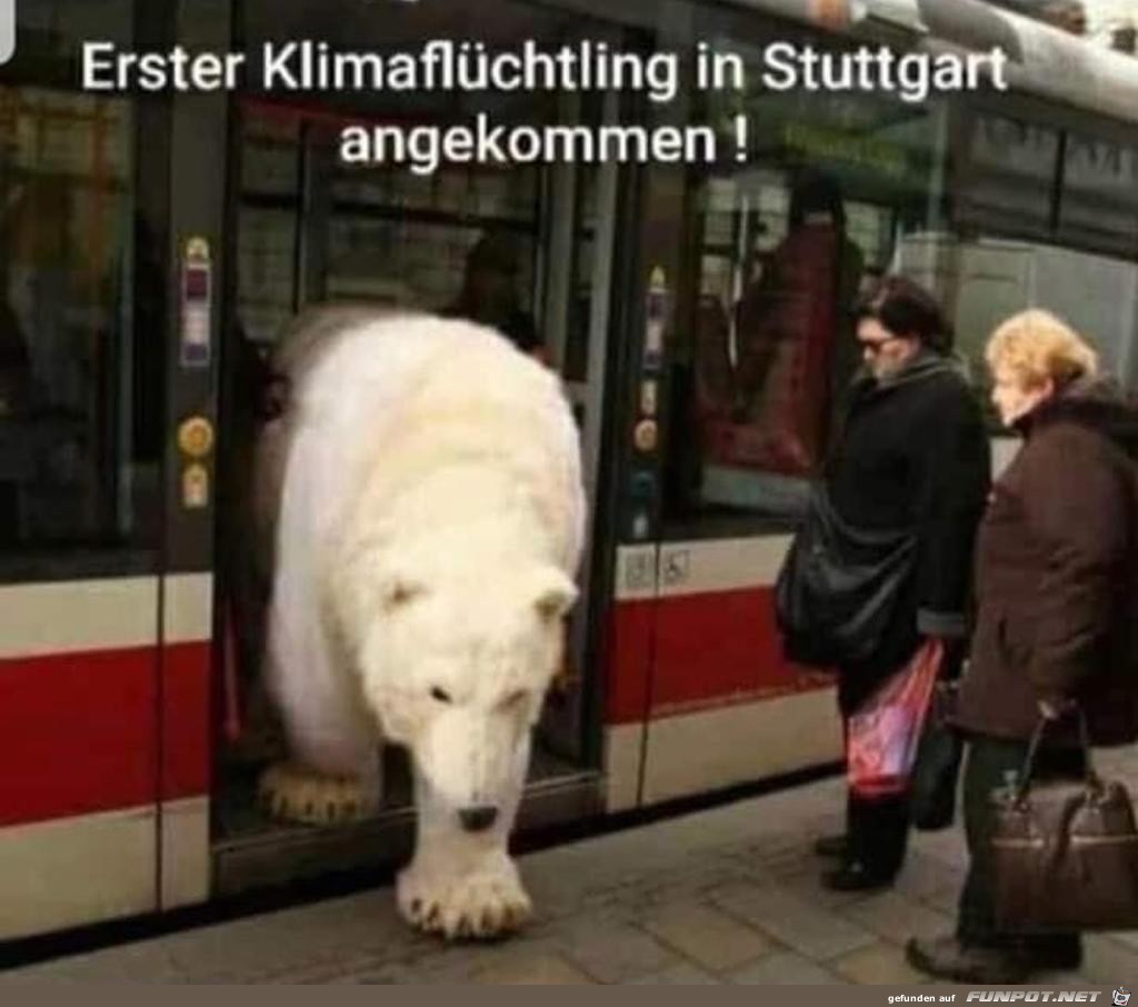 erster klimafluechtling erster klimafluechtling