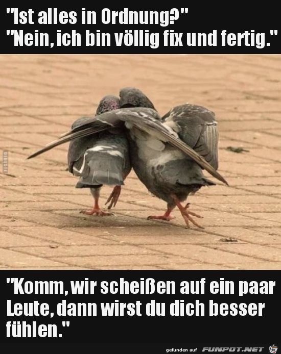 ist alles in Ordnung ist alles in Ordnung