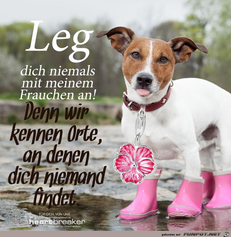 leg dich niemals leg dich niemals