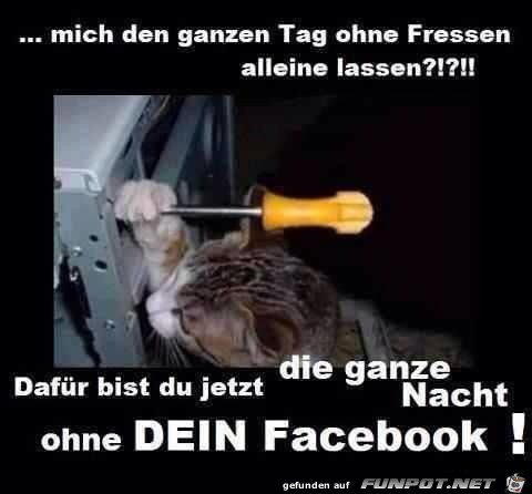 mich den ganzen tag mich den ganzen tag