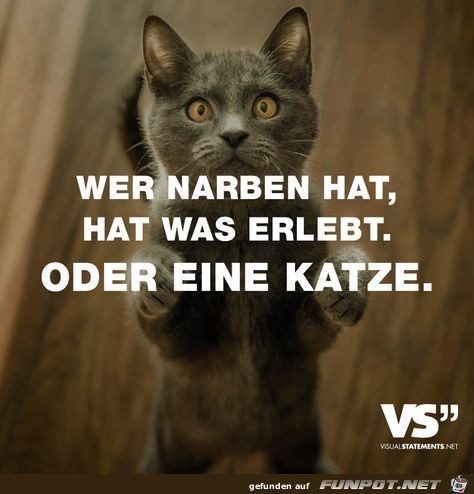 wer narben hat wer narben hat