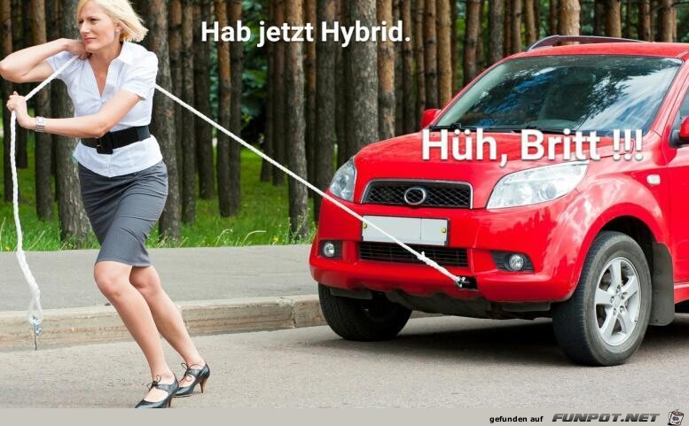 Hybrid