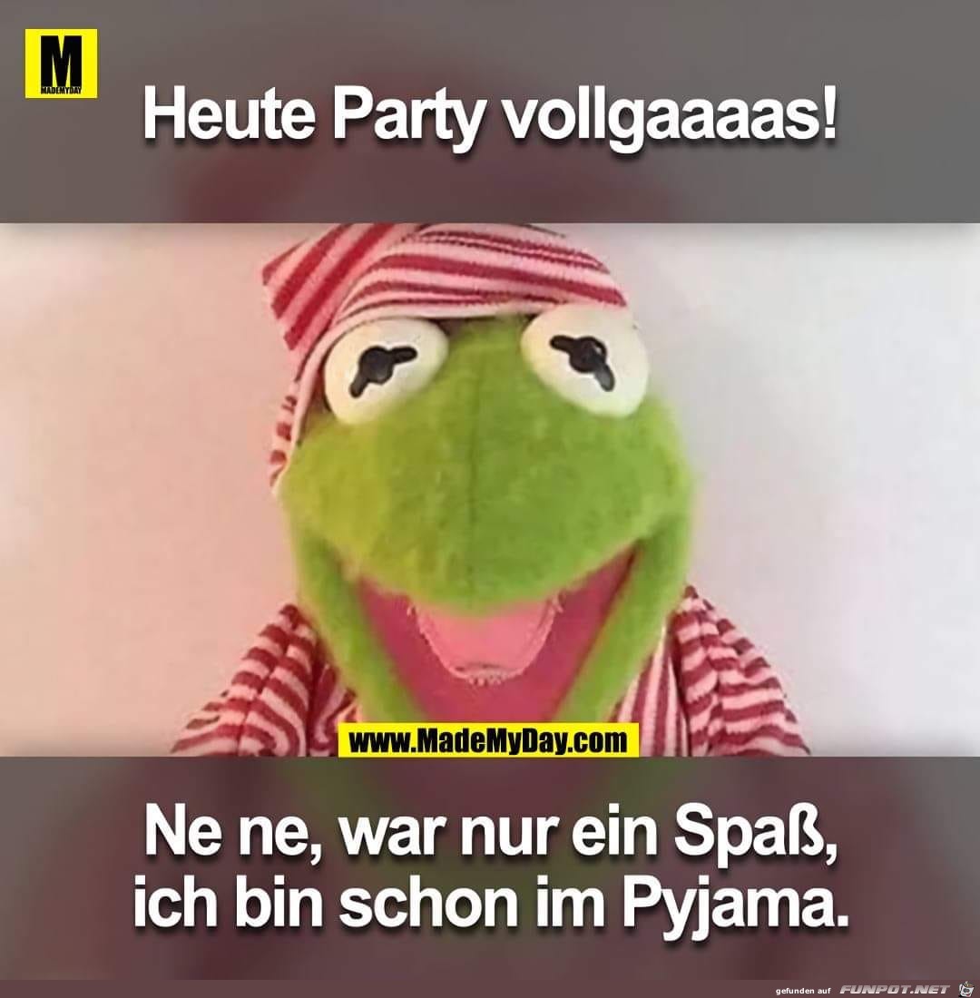 Party Party