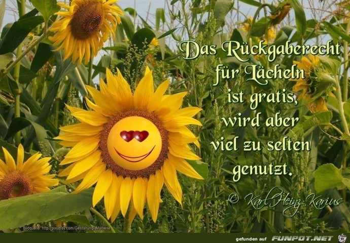 das Rueckgaberecht das Rueckgaberecht