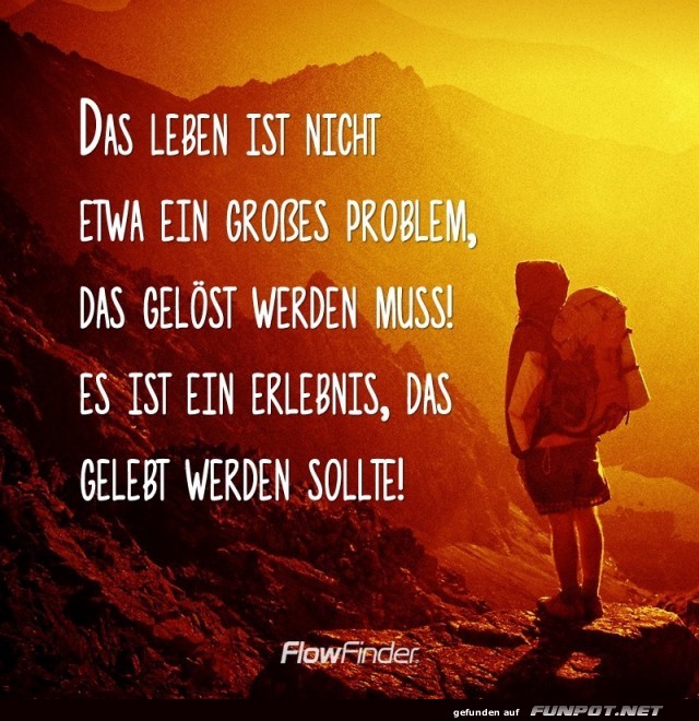 das leben ist nicht etwa ein grosses problem