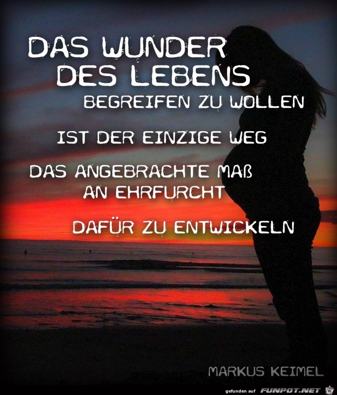das wunder des Lebens das wunder des Lebens