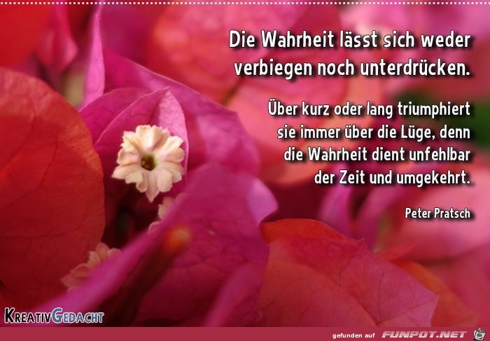 die wahrheit laesst sich weder verbiegen die wahrheit laesst sich weder verbiegen
