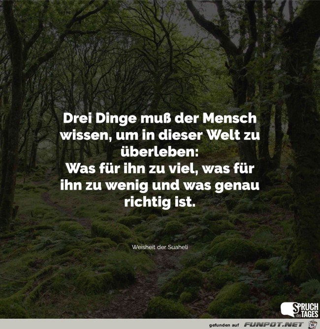 drei dinge muss der mensch wissen drei dinge muss der mensch wissen