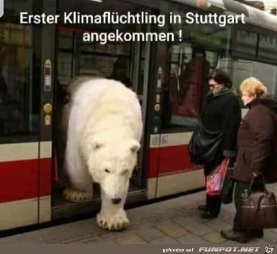 Klimaflüchtling Klimaflüchtling