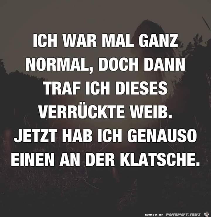 Ich war mal normal Ich war mal normal