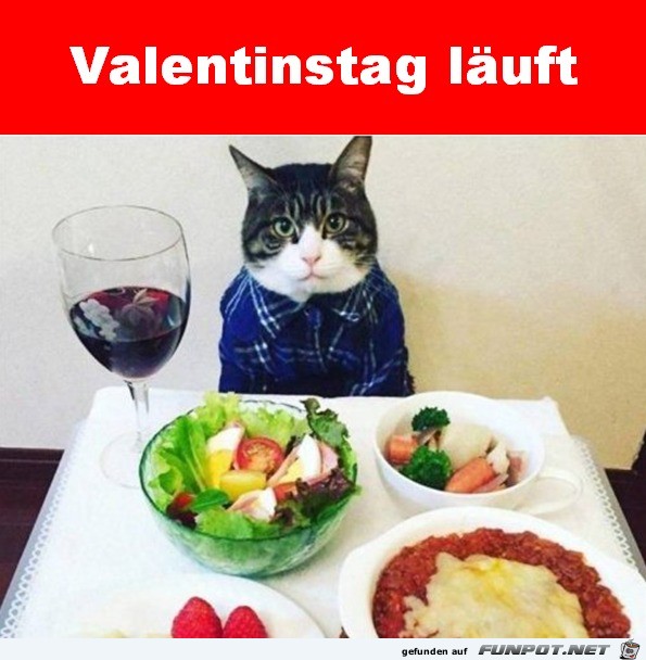Valentinstag läuft Valentinstag läuft