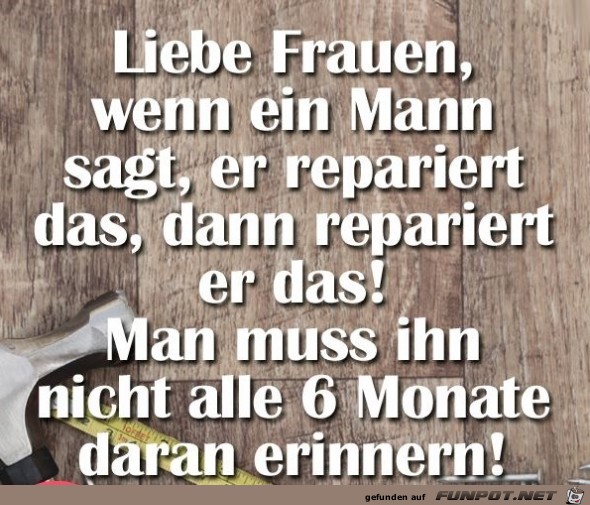 Liebe Frauen