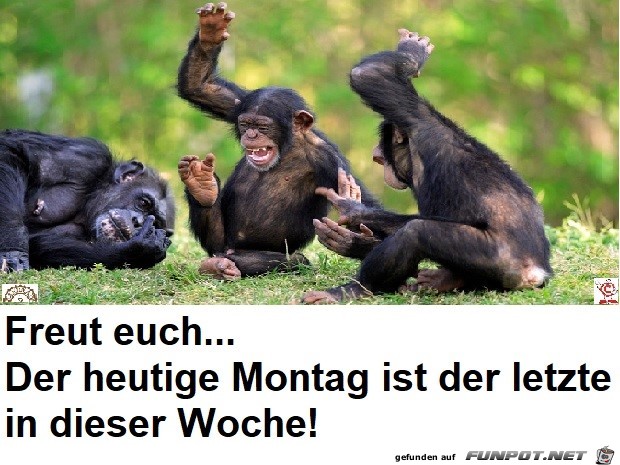 der letzte Montag der letzte Montag