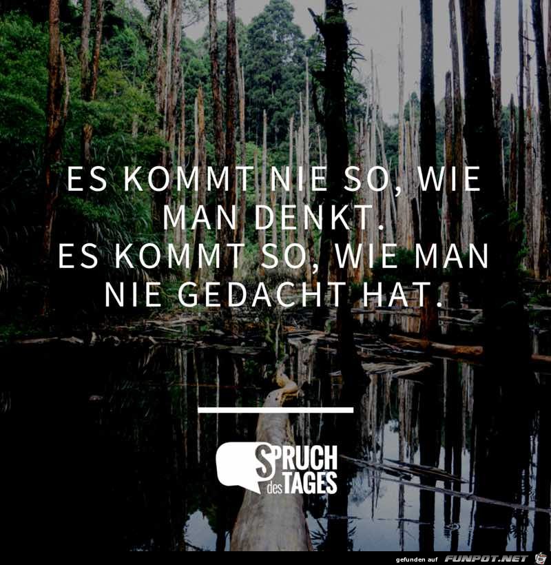 es-kommt-nie-so-wie-man-denkt-es-kommt-so-wie-man-nie-gedach es-kommt-nie-so-wie-man-denkt-es-kommt-so-wie-man-nie-gedach