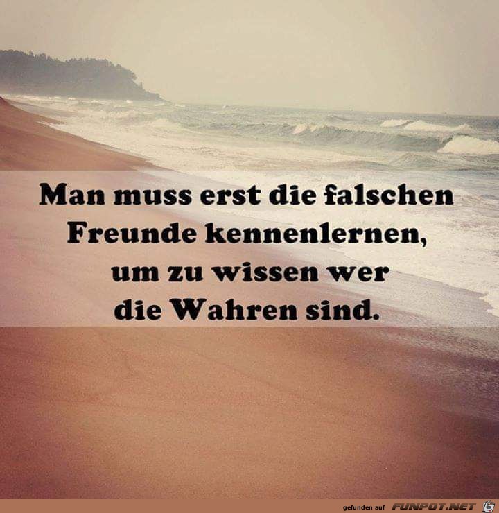 Unterschied bei Freunden Unterschied bei Freunden