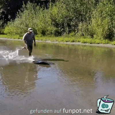 Spaß am Surfen Spaß am Surfen