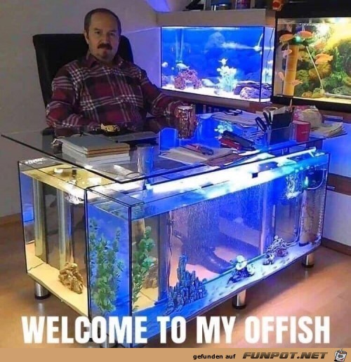 Das Aquarien-Büro Das Aquarien-Büro