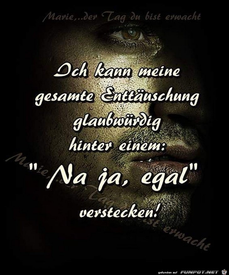 Gesamte Enttäuschung Gesamte Enttäuschung