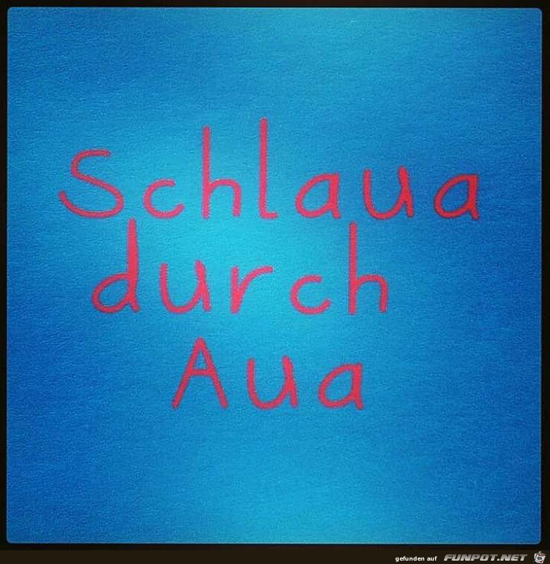 Schlaua durch Aua