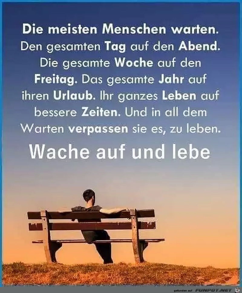 Wache auf und lebe