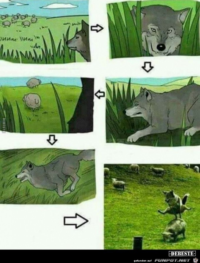 Bockspringen mit einem Wolf Bockspringen mit einem Wolf
