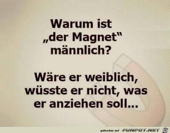 Warum ist der Magnet männlich Warum ist der Magnet männlich
