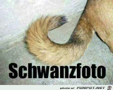 Schwanzfoto