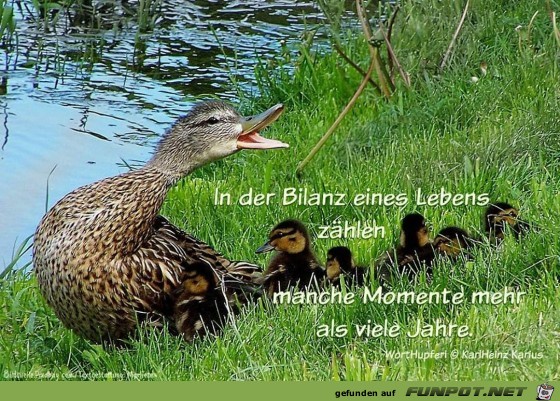 in der bilanz01 in der bilanz01