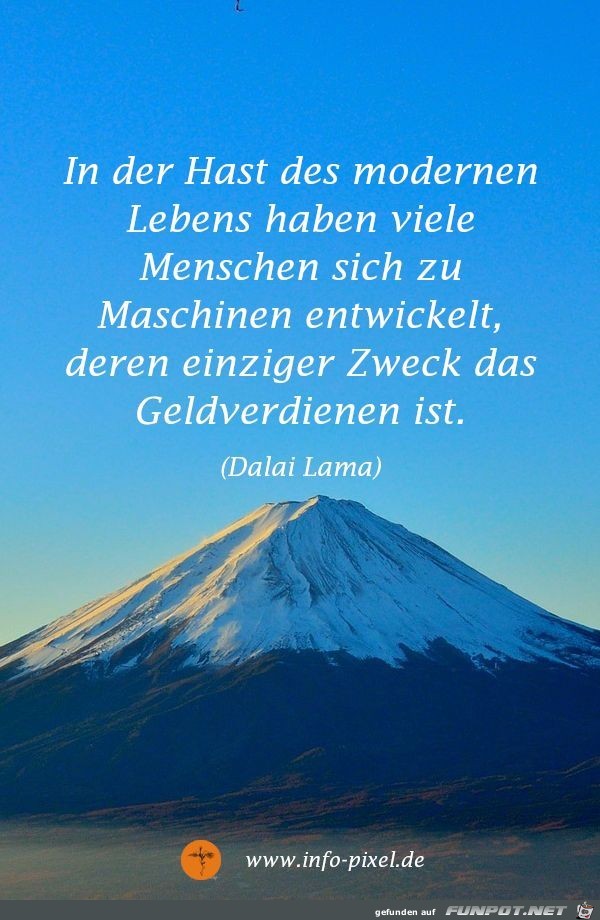 in der hast in der hast