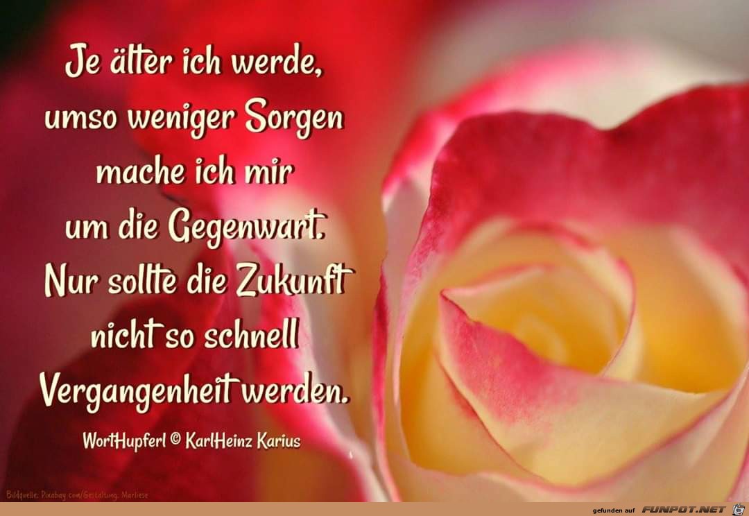 je aelter ich werde je aelter ich werde