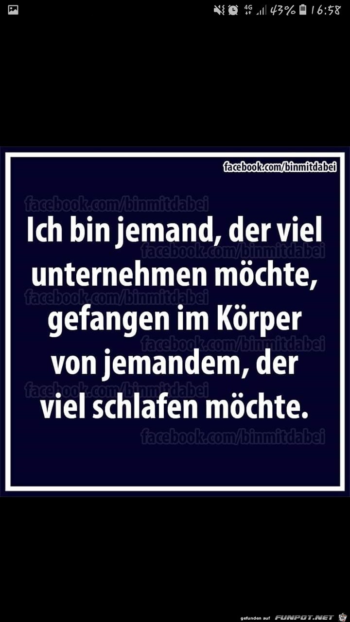 Viel schlafen Viel schlafen