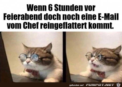 Wenn der Chef eine Mail schickt Wenn der Chef eine Mail schickt