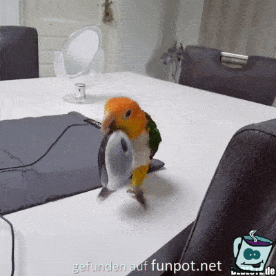meine Maus meine Maus