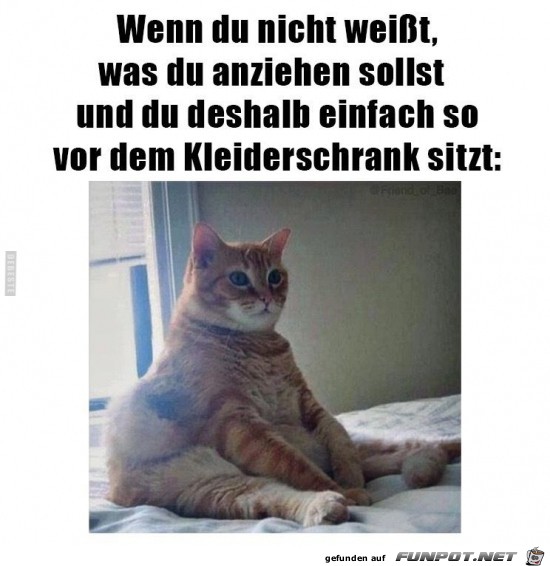 wenn du nicht weit was du anziehen sollst.....