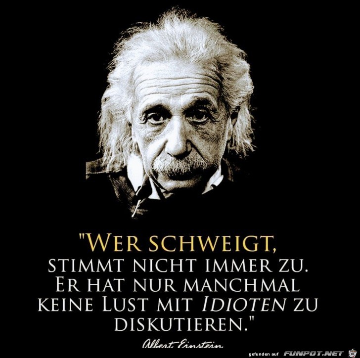 Zitat Einstein's