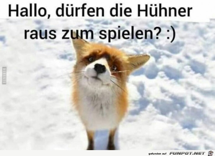 Eine Frage Eine Frage