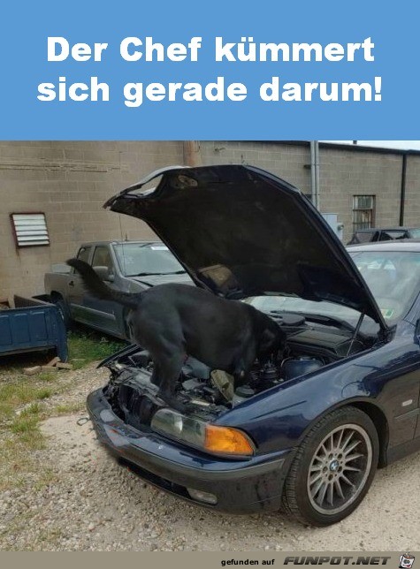 Der Chef kümmert sich darum Der Chef kümmert sich darum