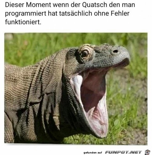 Wenn der Quatsch funktioniert Wenn der Quatsch funktioniert