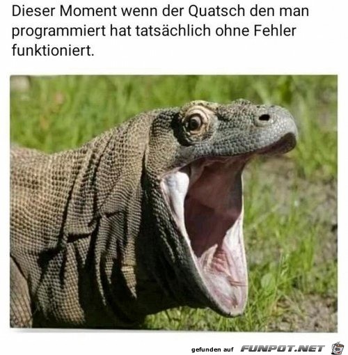 Wenn der Quatsch funktioniert