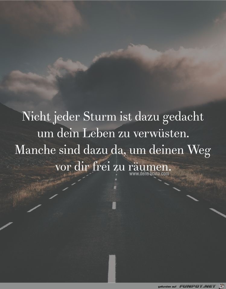 nicht jeder sturm