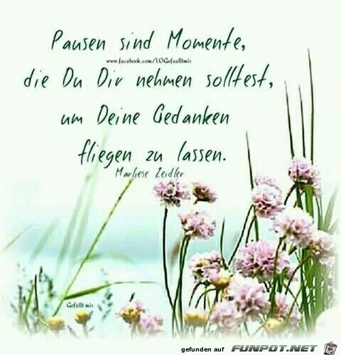 pausen sind momente