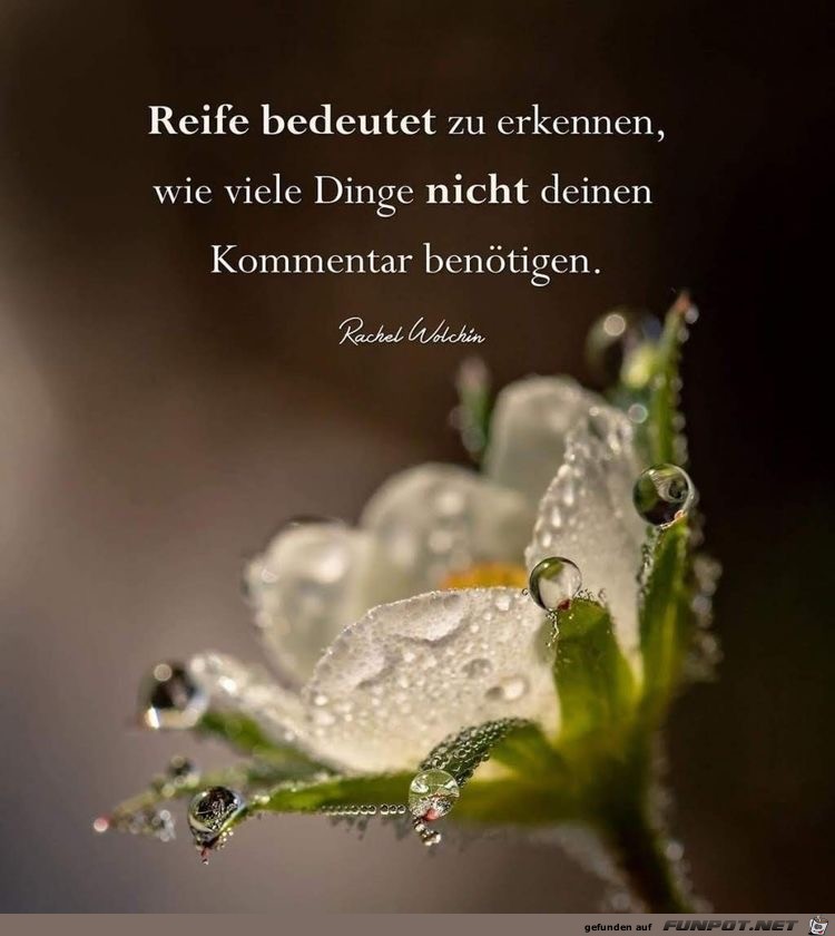 Reife bedeutet Reife bedeutet