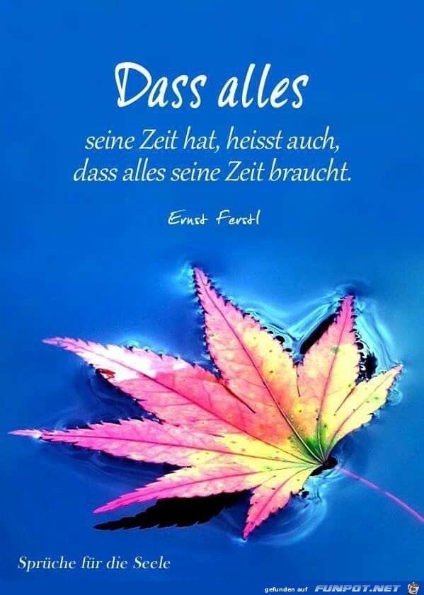 dass alles seine zeit hat