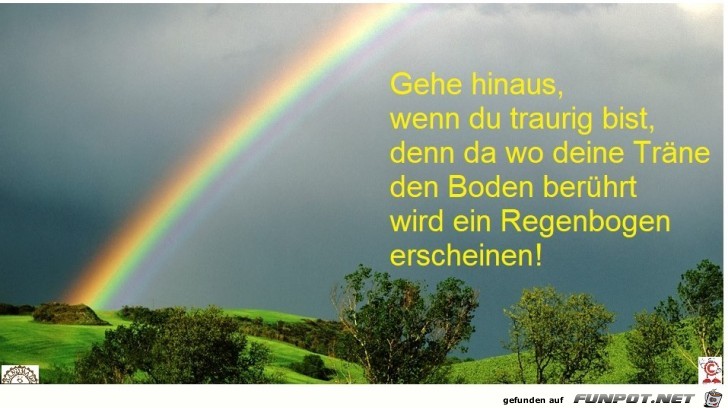 Trne und Regenbogen