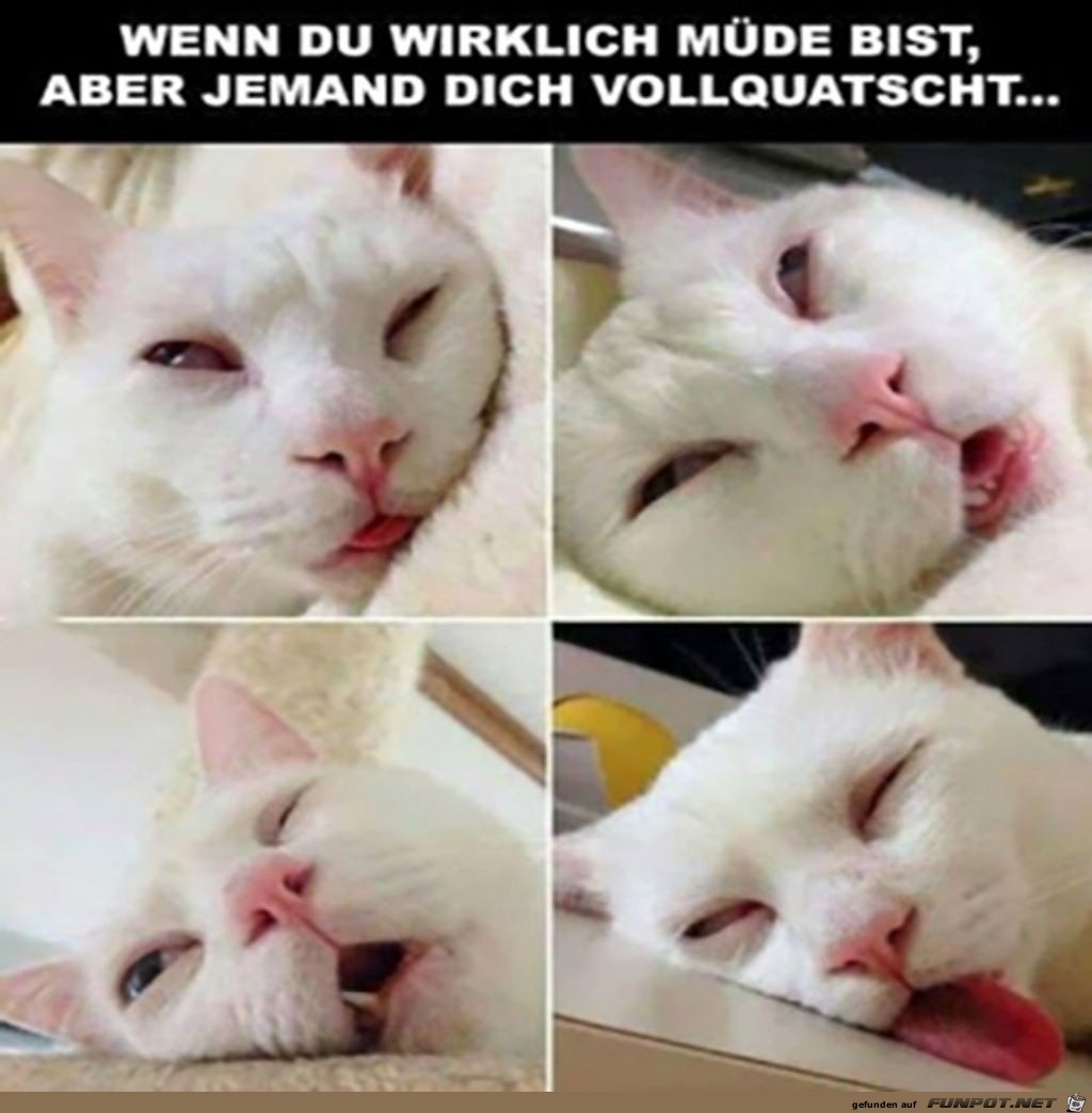 Wenn du wirklich mde bist