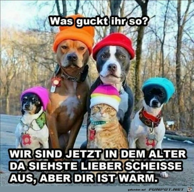 Was guckt ihr so? Was guckt ihr so?